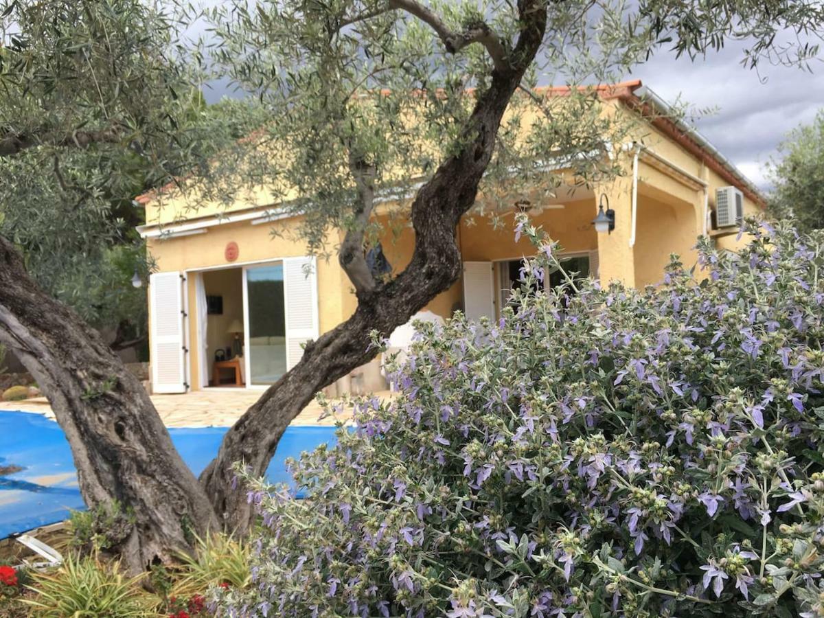 La Inopia Villa L'Ampolla Exteriör bild
